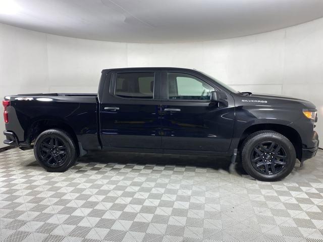 2023 Chevrolet Silverado 1500 Vehicle Photo in MEDINA, OH 44256-9001
