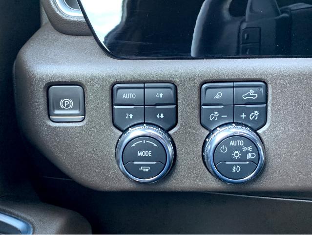 2023 GMC Sierra 1500 Vehicle Photo in BEAUFORT, SC 29906-4218