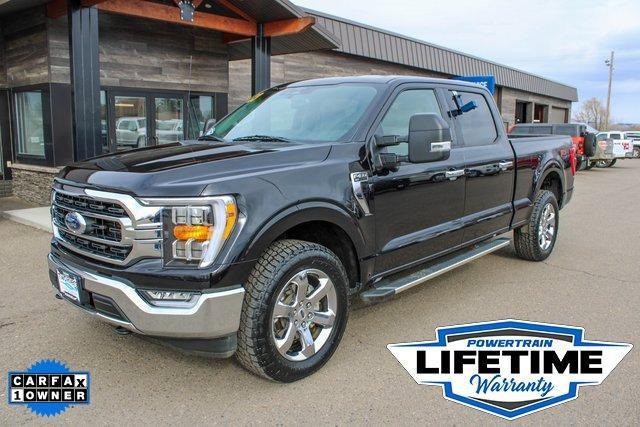 2023 Ford F-150 Vehicle Photo in MILES CITY, MT 59301-5791