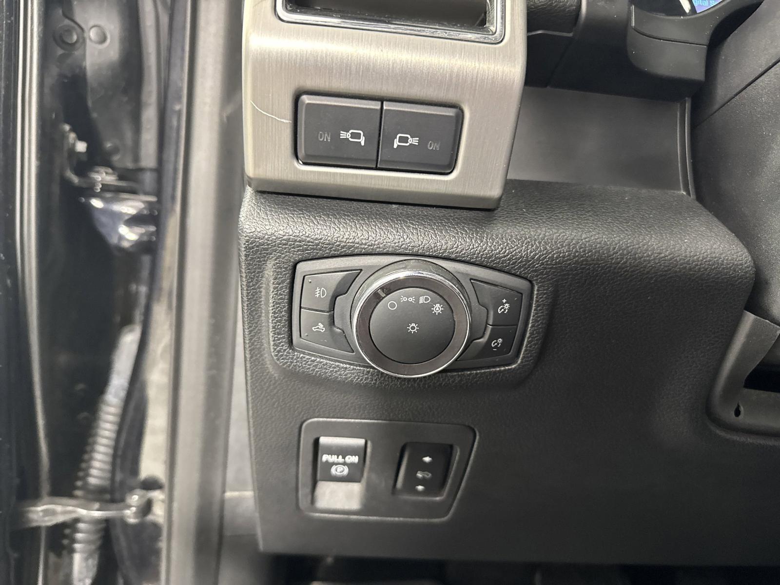 2020 Ford F-150 Vehicle Photo in GEORGETOWN, TX 78626-7508