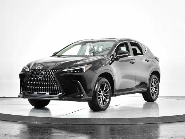 2025 Lexus NX 250 Vehicle Photo in DALLAS, TX 75235