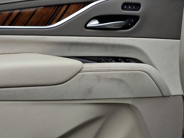 2023 Cadillac Escalade Vehicle Photo in DANBURY, CT 06810-5034