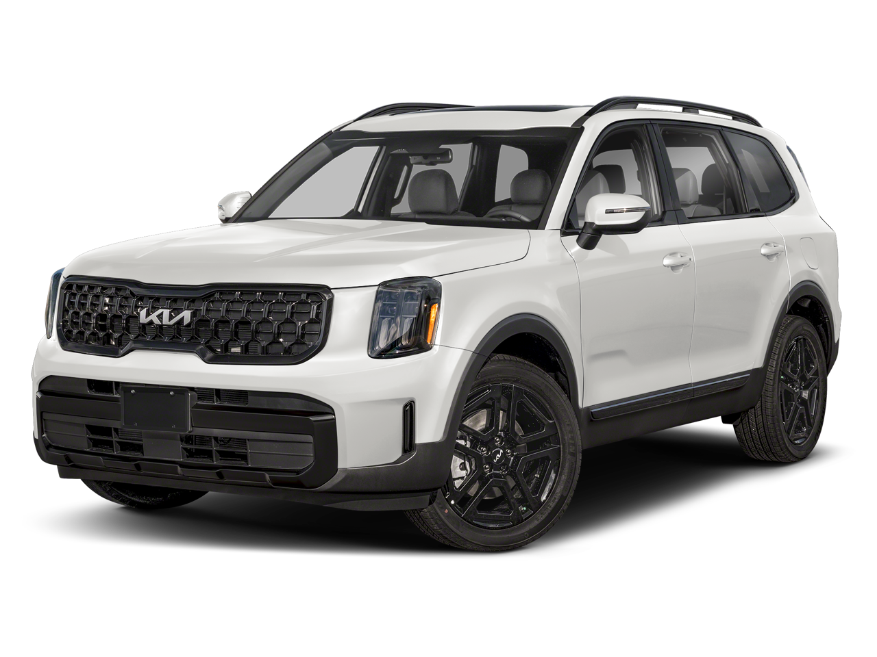 2025 Kia Telluride Vehicle Photo in Neenah, WI 54956