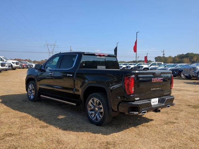 2025 GMC Sierra 1500 Vehicle Photo in ALBERTVILLE, AL 35950-0246