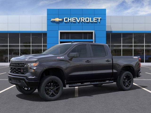 2024 Chevrolet Silverado 1500 Vehicle Photo in WACO, TX 76710-2592