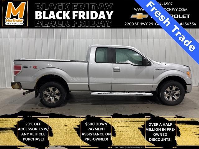 2012 Ford F-150 Vehicle Photo in GLENWOOD, MN 56334-1123