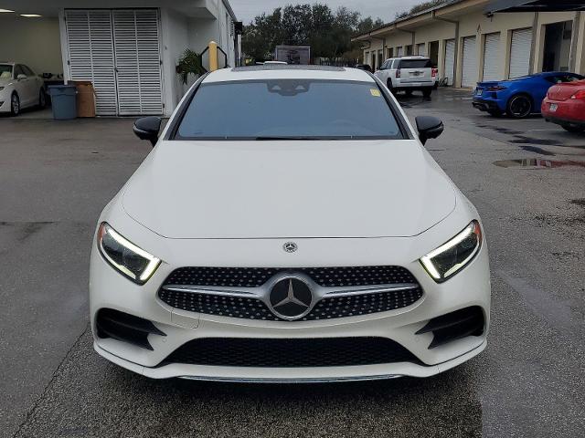 2019 Mercedes-Benz CLS Vehicle Photo in POMPANO BEACH, FL 33064-7091