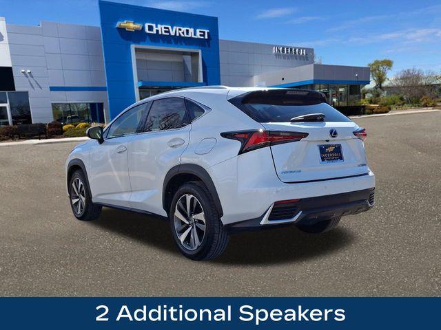 2019 Lexus NX 300h Vehicle Photo in DANBURY, CT 06810-5034