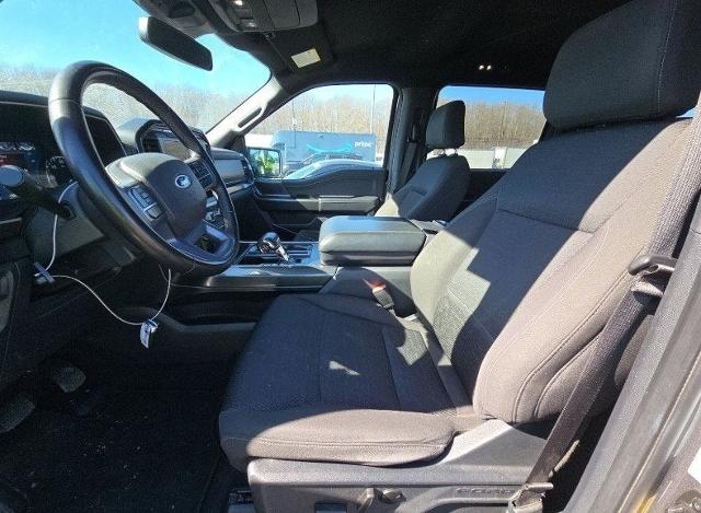 2023 Ford F-150 Vehicle Photo in San Antonio, TX 78230