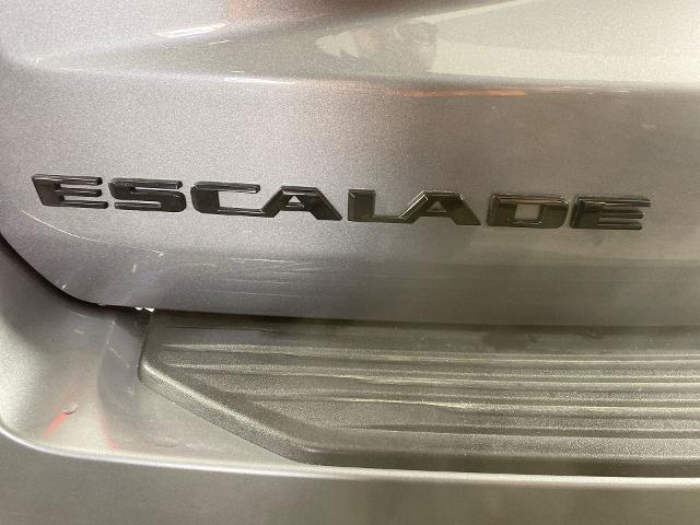 2022 Cadillac Escalade Vehicle Photo in ALLIANCE, OH 44601-4622