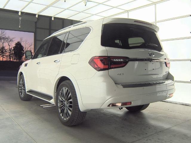 2024 INFINITI QX80 Vehicle Photo in Grapevine, TX 76051