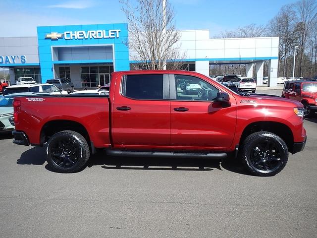 2025 Chevrolet Silverado 1500 Vehicle Photo in JASPER, GA 30143-8655