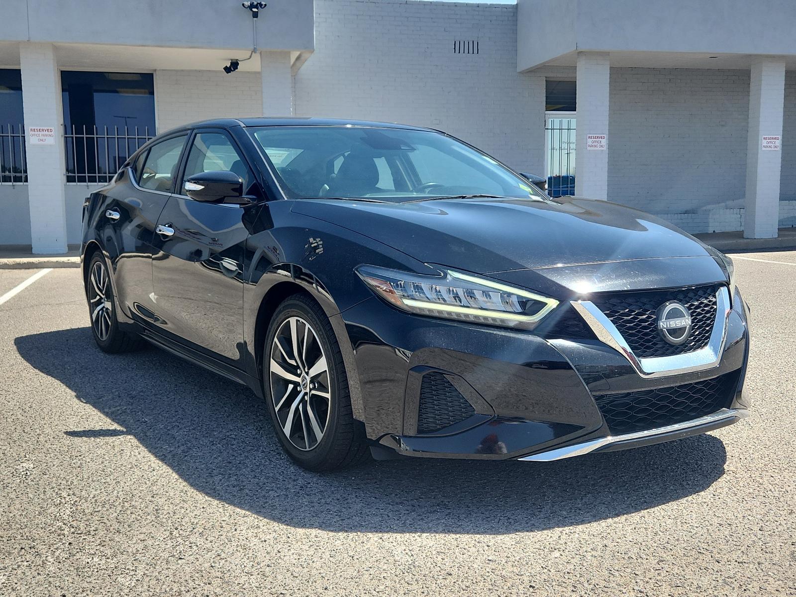 2023 Nissan Maxima Vehicle Photo in Albuquerque, NM 87110