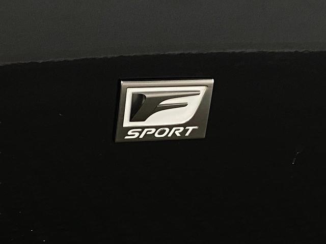 2021 Lexus IS 350 Vehicle Photo in Appleton, WI 54913