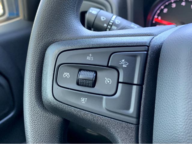 2025 Chevrolet Silverado 1500 Vehicle Photo in BEAUFORT, SC 29906-4218