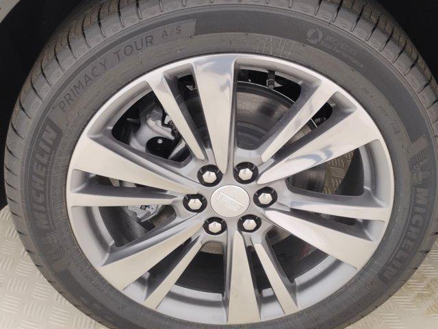 2025 Cadillac XT5 Vehicle Photo in PINEVILLE, NC 28134-8495