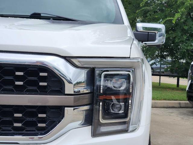 2021 Ford F-150 Vehicle Photo in HOUSTON, TX 77079