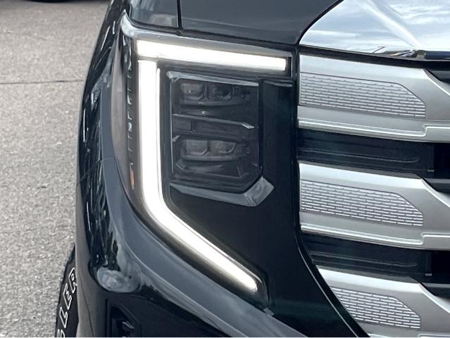 2024 GMC Sierra 1500 Vehicle Photo in BEAUFORT, SC 29906-4218