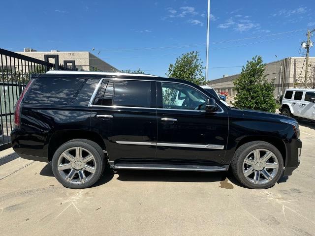2019 Cadillac Escalade Vehicle Photo in San Antonio, TX 78230