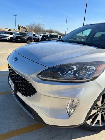 2020 Ford Escape Vehicle Photo in Peoria, IL 61615