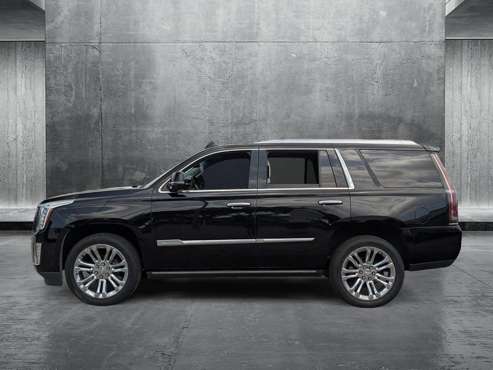 2017 Cadillac Escalade Vehicle Photo in St. Petersburg, FL 33713