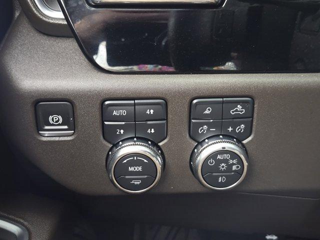 2024 GMC Sierra 1500 Vehicle Photo in Decatur, TX 76234