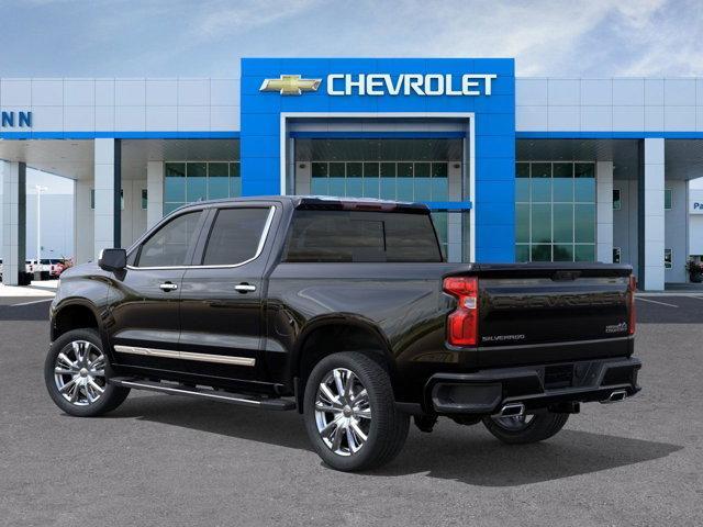 2025 Chevrolet Silverado 1500 Vehicle Photo in SELMA, TX 78154-1460