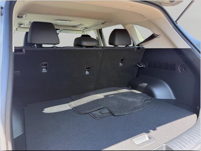 2024 Kia Seltos Vehicle Photo in Appleton, WI 54914