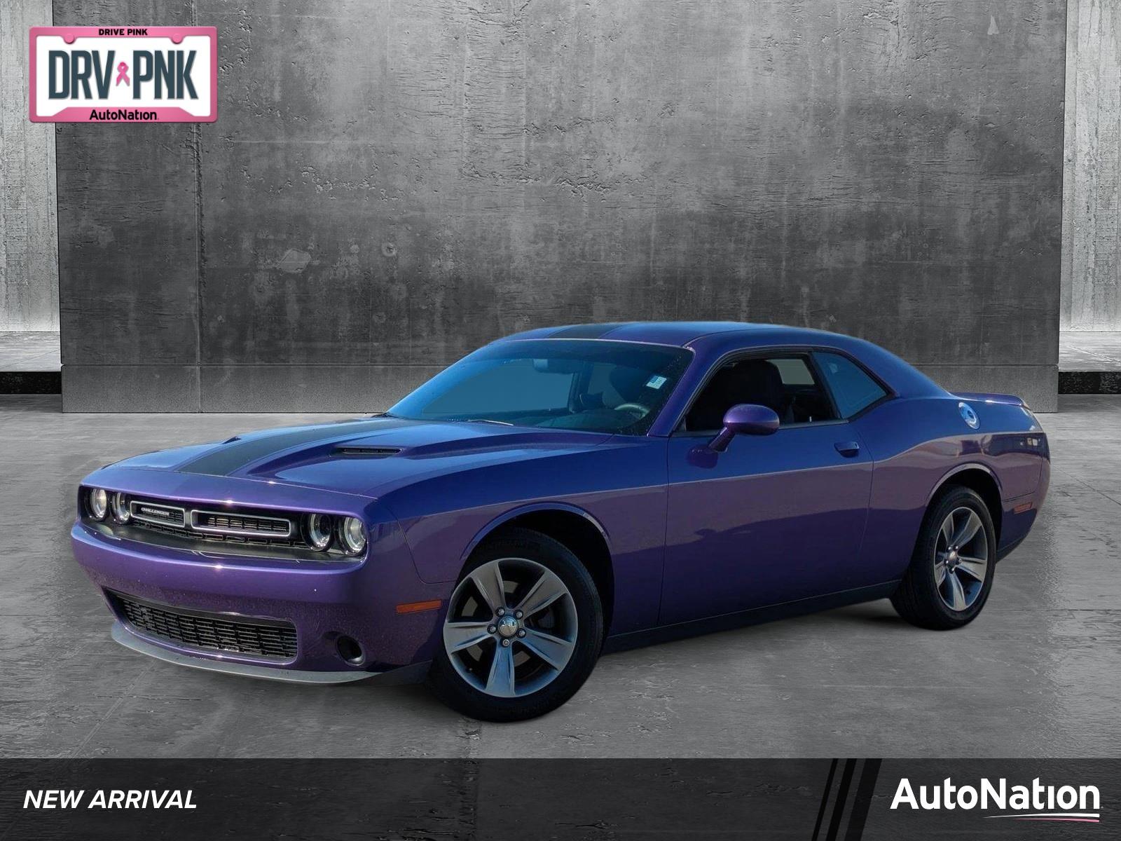 2019 Dodge Challenger Vehicle Photo in CLEARWATER, FL 33764-7163