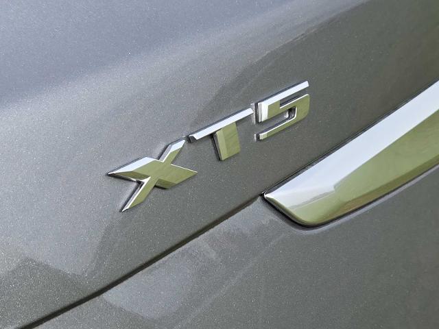 2020 Cadillac XT5 Vehicle Photo in DENTON, TX 76210-9321