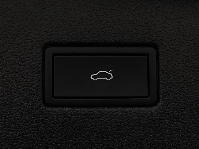 2024 Volkswagen Tiguan Vehicle Photo in Appleton, WI 54913