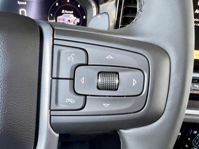 2025 GMC Sierra 1500 Vehicle Photo in EFFINGHAM, IL 62401-2832