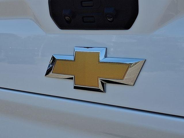 2023 Chevrolet Silverado 2500 HD Vehicle Photo in DANBURY, CT 06810-5034
