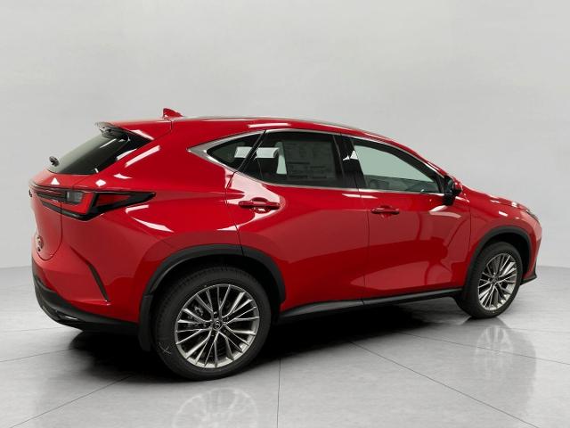 2025 Lexus NX 350h Vehicle Photo in Appleton, WI 54913