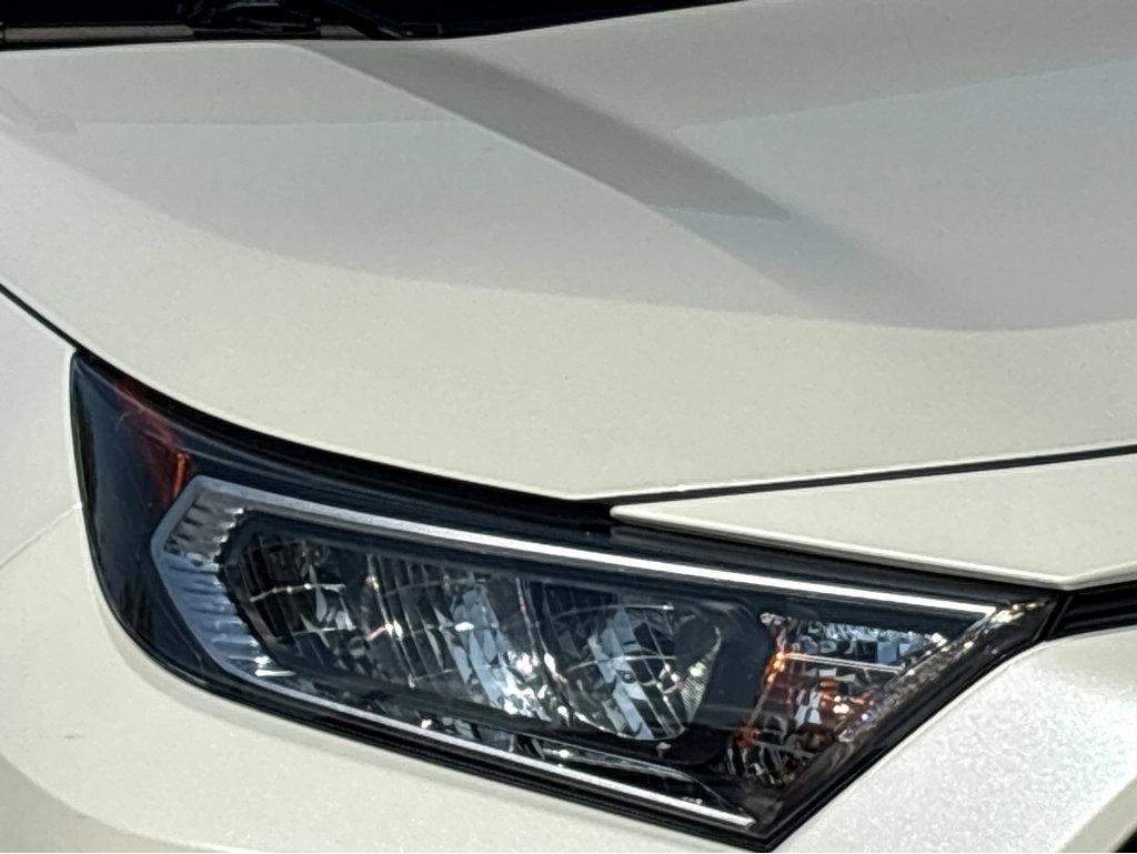 2019 Toyota RAV4 Vehicle Photo in POOLER, GA 31322-3252