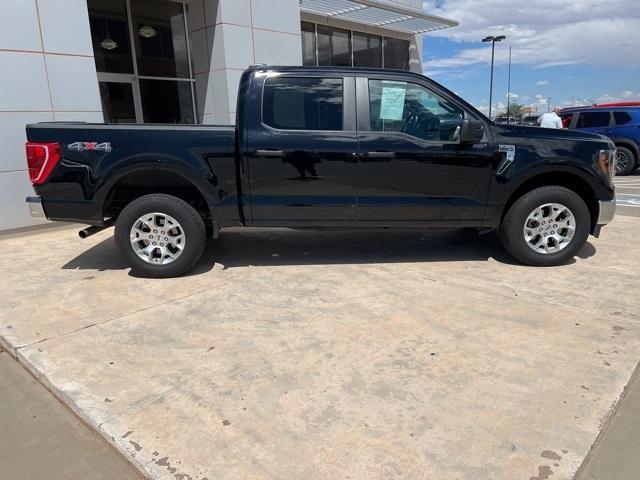 2023 Ford F-150 Vehicle Photo in Winslow, AZ 86047-2439