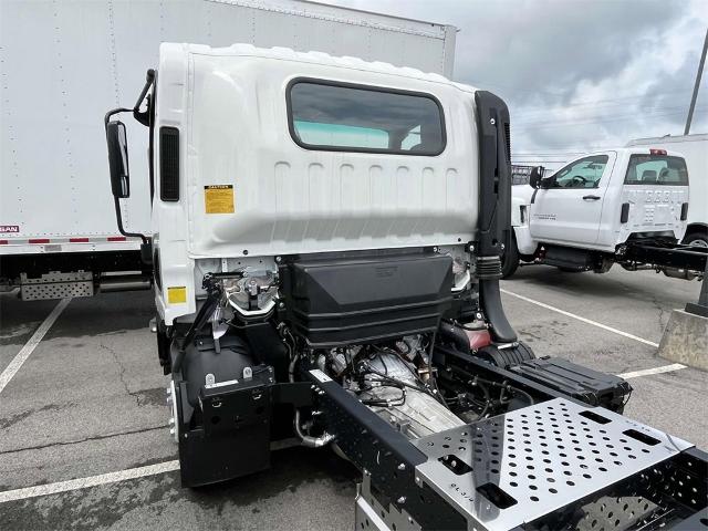 2024 Chevrolet Low Cab Forward 4500 Vehicle Photo in ALCOA, TN 37701-3235