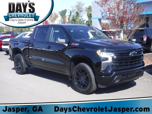 2024 Chevrolet Silverado 1500 Vehicle Photo in JASPER, GA 30143-8655