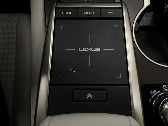 2022 Lexus RX 350 Vehicle Photo in Appleton, WI 54913