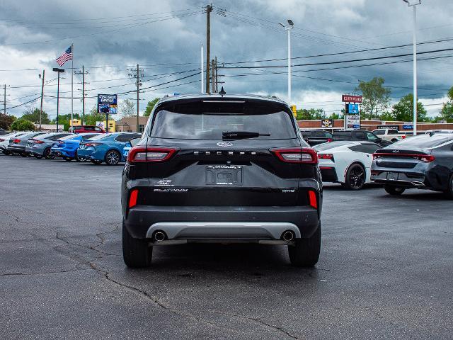 2023 Ford Escape Vehicle Photo in MADISON, IN 47250-1611