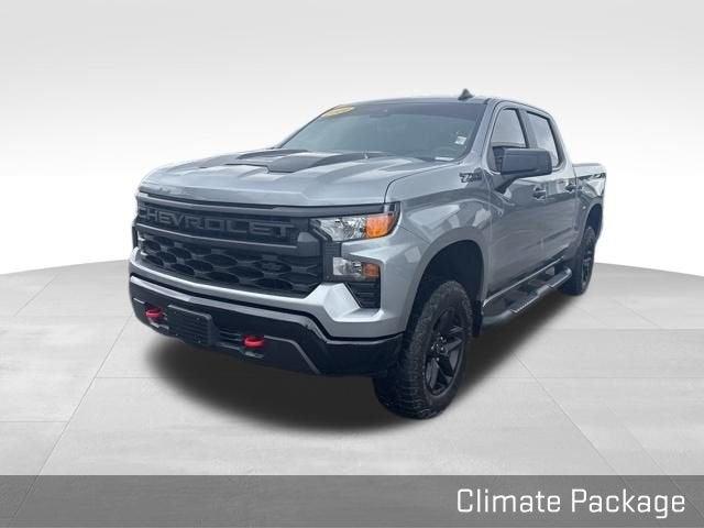 2024 Chevrolet Silverado 1500 Vehicle Photo in Fishers, IN 46038
