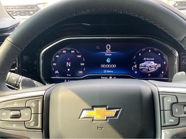 2025 Chevrolet Silverado 1500 Vehicle Photo in SAVANNAH, GA 31406-4513