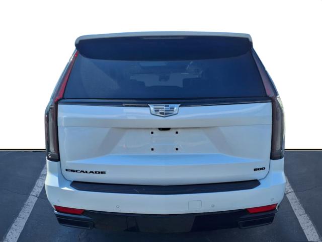 2023 Cadillac Escalade Vehicle Photo in SMITHTOWN, NY 11787-5023