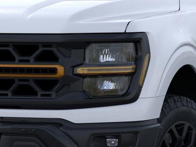 2025 Ford F-150 Vehicle Photo in Weatherford, TX 76087