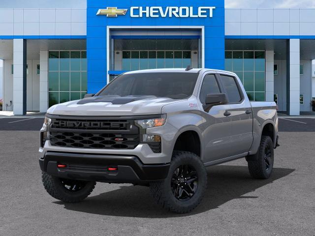 2025 Chevrolet Silverado 1500 Vehicle Photo in SELMA, TX 78154-1460