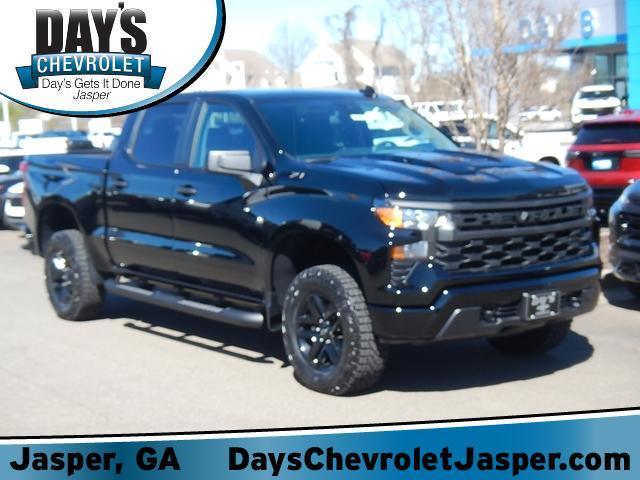 2025 Chevrolet Silverado 1500 Vehicle Photo in JASPER, GA 30143-8655