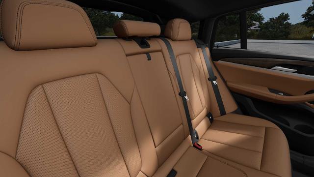 2025 BMW X4 xDrive30i Vehicle Photo in GRAPEVINE, TX 76051