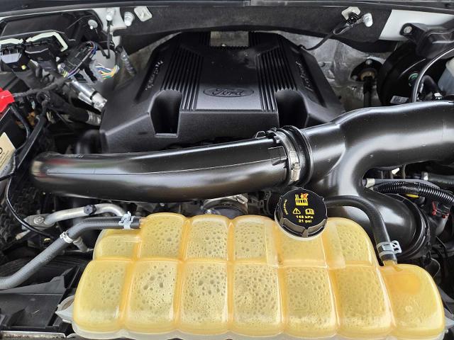 2019 Ford F-150 Vehicle Photo in DENTON, TX 76210-9321
