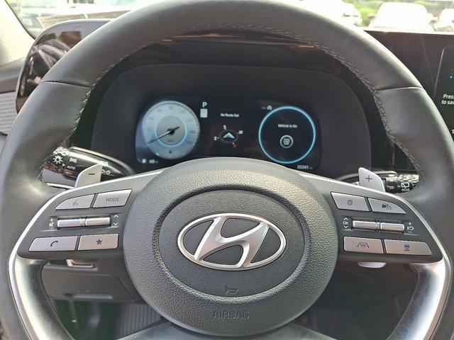 2024 Hyundai PALISADE Vehicle Photo in Philadelphia, PA 19116