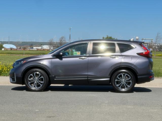 2022 Honda CR-V Vehicle Photo in PITTSBURG, CA 94565-7121